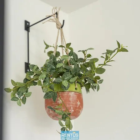 아파트 Zwem & Zen - Spacious With Outdoor Pool